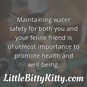 Maintaining water safety for both you and your feline friend is of utmost importance to promote health and well-being.