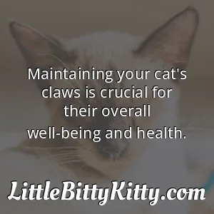 Maintaining your cat's claws is crucial for their overall well-being and health.