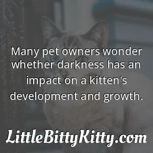 Many pet owners wonder whether darkness has an impact on a kitten's development and growth.