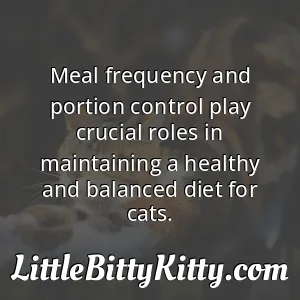 Meal frequency and portion control play crucial roles in maintaining a healthy and balanced diet for cats.