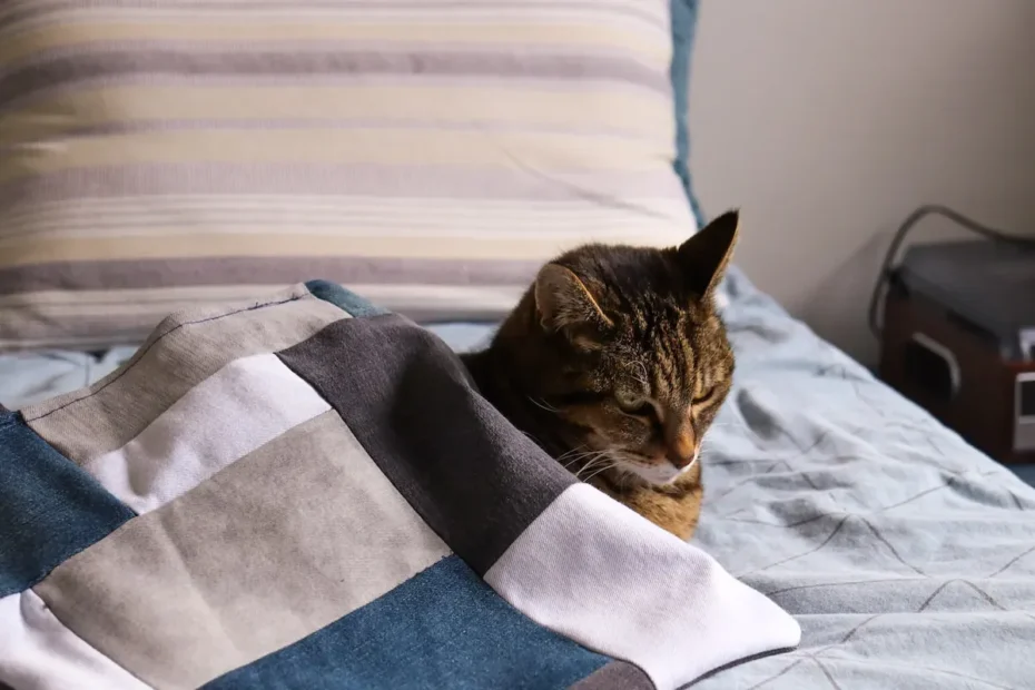 Measuring the Feline Delight: How Many Mice Do Cats Devour Daily?