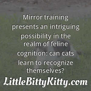 Mirror training presents an intriguing possibility in the realm of feline cognition: can cats learn to recognize themselves?