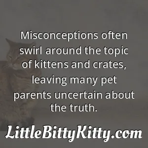 Misconceptions often swirl around the topic of kittens and crates, leaving many pet parents uncertain about the truth.