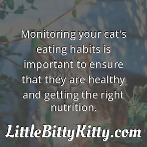 Monitoring your cat's eating habits is important to ensure that they are healthy and getting the right nutrition.