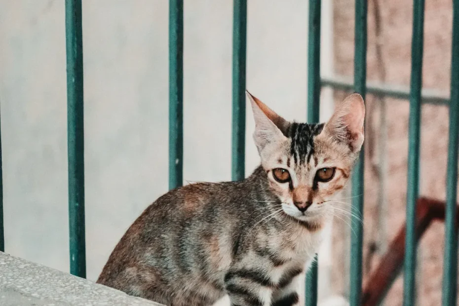 Mouse Flavored Cat Food: Unveiling the Feline Palate's Wild Cravings!