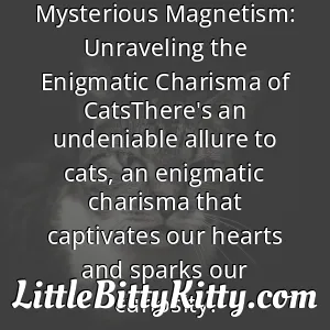 Mysterious Magnetism: Unraveling the Enigmatic Charisma of CatsThere's an undeniable allure to cats, an enigmatic charisma that captivates our hearts and sparks our curiosity.