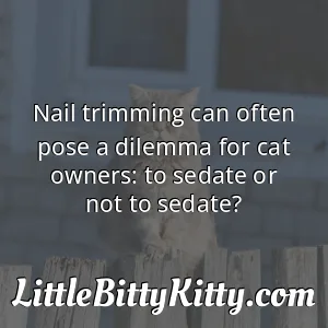 Nail trimming can often pose a dilemma for cat owners: to sedate or not to sedate?