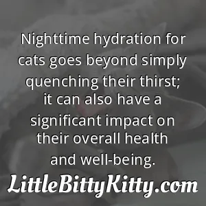 Nighttime hydration for cats goes beyond simply quenching their thirst; it can also have a significant impact on their overall health and well-being.