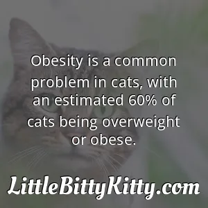 Obesity is a common problem in cats, with an estimated 60% of cats being overweight or obese.
