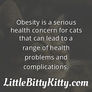 Obesity is a serious health concern for cats that can lead to a range of health problems and complications.
