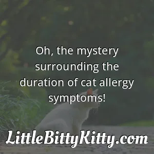 Oh, the mystery surrounding the duration of cat allergy symptoms!