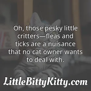 Oh, those pesky little critters—fleas and ticks are a nuisance that no cat owner wants to deal with.