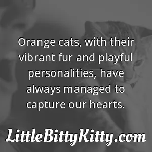 Orange cats, with their vibrant fur and playful personalities, have always managed to capture our hearts.