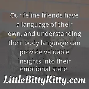 Our feline friends have a language of their own, and understanding their body language can provide valuable insights into their emotional state.