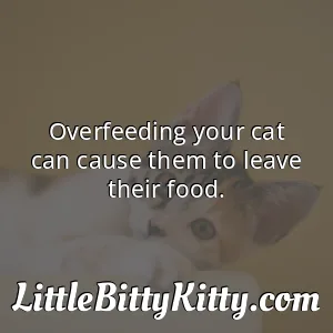 Overfeeding your cat can cause them to leave their food.