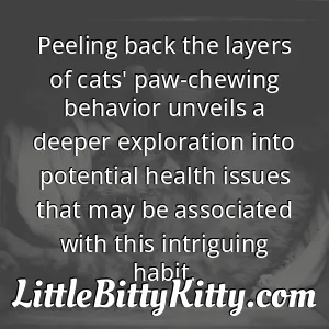 Peeling back the layers of cats' paw-chewing behavior unveils a deeper exploration into potential health issues that may be associated with this intriguing habit.
