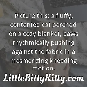 Picture this: a fluffy, contented cat perched on a cozy blanket, paws rhythmically pushing against the fabric in a mesmerizing kneading motion.