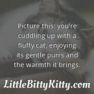 Picture this: you're cuddling up with a fluffy cat, enjoying its gentle purrs and the warmth it brings.