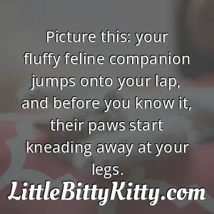 Picture this: your fluffy feline companion jumps onto your lap, and before you know it, their paws start kneading away at your legs.
