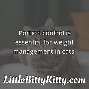 Portion control is essential for weight management in cats.