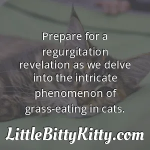 Prepare for a regurgitation revelation as we delve into the intricate phenomenon of grass-eating in cats.