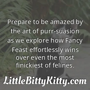Prepare to be amazed by the art of purr-suasion as we explore how Fancy Feast effortlessly wins over even the most finickiest of felines.