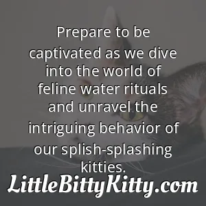 Prepare to be captivated as we dive into the world of feline water rituals and unravel the intriguing behavior of our splish-splashing kitties.