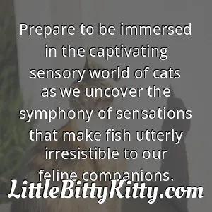 Prepare to be immersed in the captivating sensory world of cats as we uncover the symphony of sensations that make fish utterly irresistible to our feline companions.
