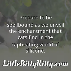 Prepare to be spellbound as we unveil the enchantment that cats find in the captivating world of silicone.