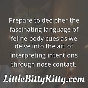 Prepare to decipher the fascinating language of feline body cues as we delve into the art of interpreting intentions through nose contact.