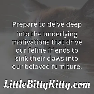 Prepare to delve deep into the underlying motivations that drive our feline friends to sink their claws into our beloved furniture.