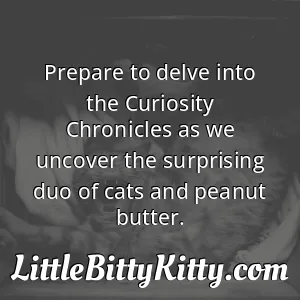 Prepare to delve into the Curiosity Chronicles as we uncover the surprising duo of cats and peanut butter.