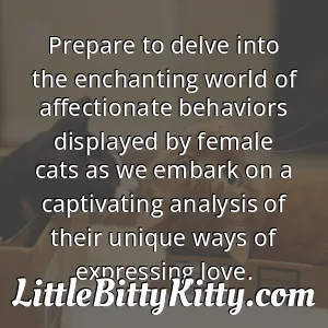 Prepare to delve into the enchanting world of affectionate behaviors displayed by female cats as we embark on a captivating analysis of their unique ways of expressing love.