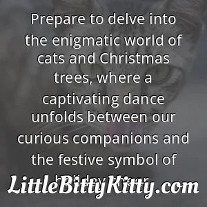 Prepare to delve into the enigmatic world of cats and Christmas trees, where a captivating dance unfolds between our curious companions and the festive symbol of holiday cheer.
