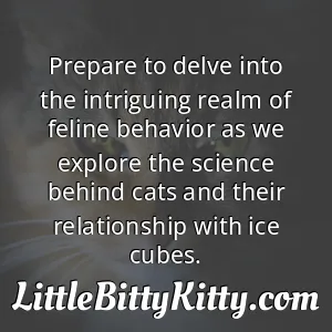 Prepare to delve into the intriguing realm of feline behavior as we explore the science behind cats and their relationship with ice cubes.