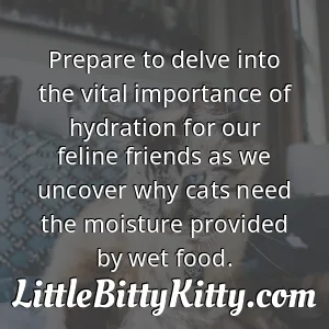 Prepare to delve into the vital importance of hydration for our feline friends as we uncover why cats need the moisture provided by wet food.