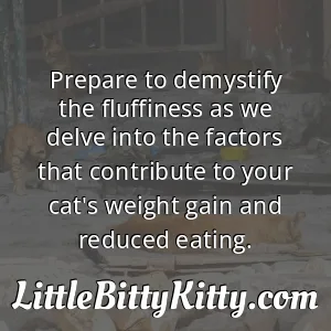 Prepare to demystify the fluffiness as we delve into the factors that contribute to your cat's weight gain and reduced eating.