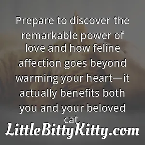 Prepare to discover the remarkable power of love and how feline affection goes beyond warming your heart—it actually benefits both you and your beloved cat.