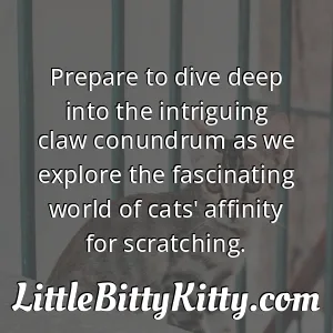 Prepare to dive deep into the intriguing claw conundrum as we explore the fascinating world of cats' affinity for scratching.