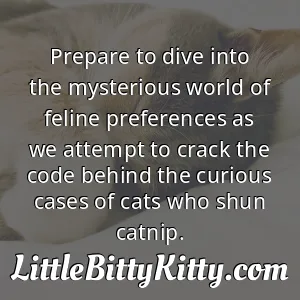 Prepare to dive into the mysterious world of feline preferences as we attempt to crack the code behind the curious cases of cats who shun catnip.