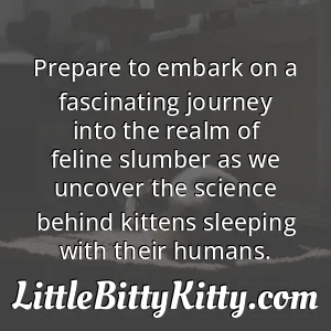 Prepare to embark on a fascinating journey into the realm of feline slumber as we uncover the science behind kittens sleeping with their humans.