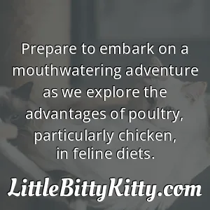 Prepare to embark on a mouthwatering adventure as we explore the advantages of poultry, particularly chicken, in feline diets.