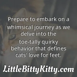 Prepare to embark on a whimsical journey as we delve into the toe-tally quirky behavior that defines cats' love for feet.