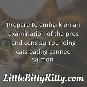 Prepare to embark on an examination of the pros and cons surrounding cats eating canned salmon.