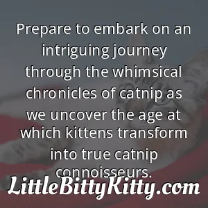 Prepare to embark on an intriguing journey through the whimsical chronicles of catnip as we uncover the age at which kittens transform into true catnip connoisseurs.