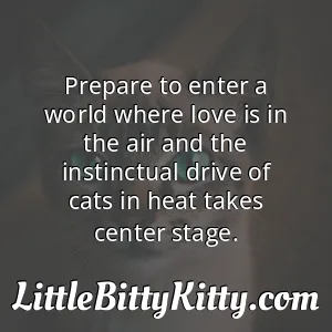 Prepare to enter a world where love is in the air and the instinctual drive of cats in heat takes center stage.