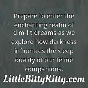 Prepare to enter the enchanting realm of dim-lit dreams as we explore how darkness influences the sleep quality of our feline companions.