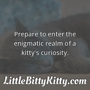 Prepare to enter the enigmatic realm of a kitty's curiosity.