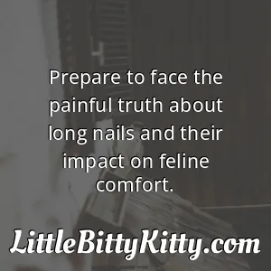Prepare to face the painful truth about long nails and their impact on feline comfort.