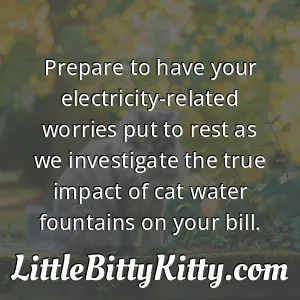 Prepare to have your electricity-related worries put to rest as we investigate the true impact of cat water fountains on your bill.